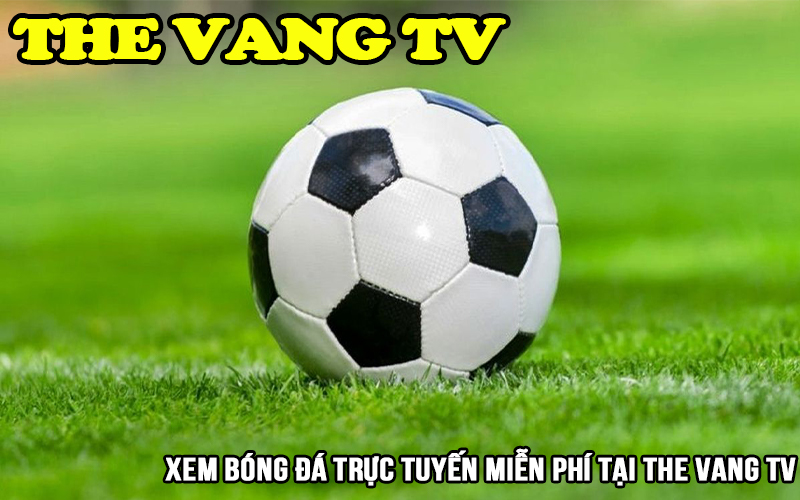 Giới thiệu Thevang TV