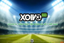 Xoi vo tv: Xem trực tiếp bóng đá miễn phí hàng ngày